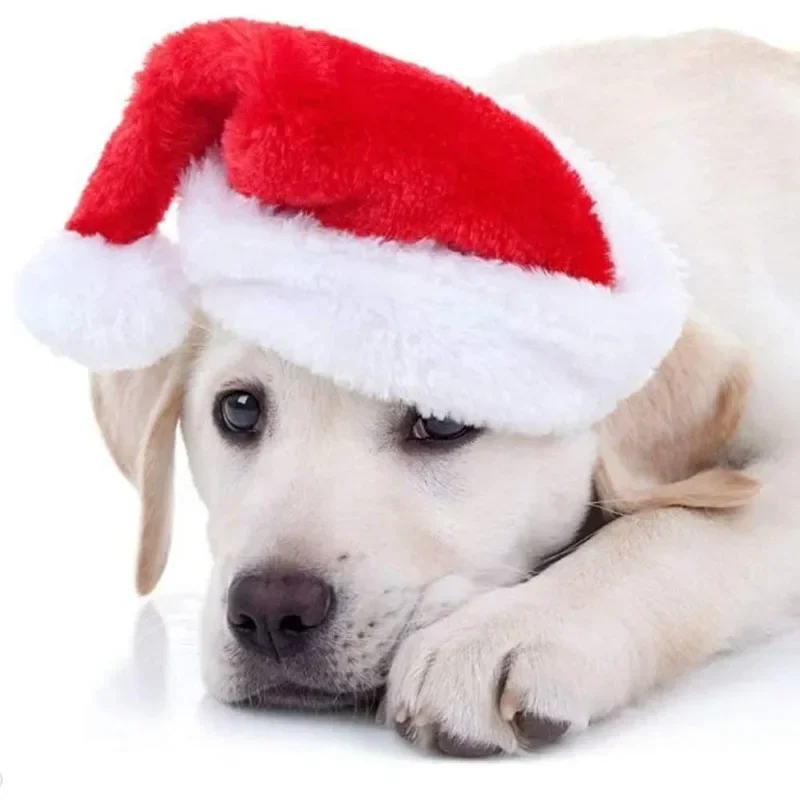 Christmas Pet Santa Hat Red Pl - Santa Hat Plush recension och pris