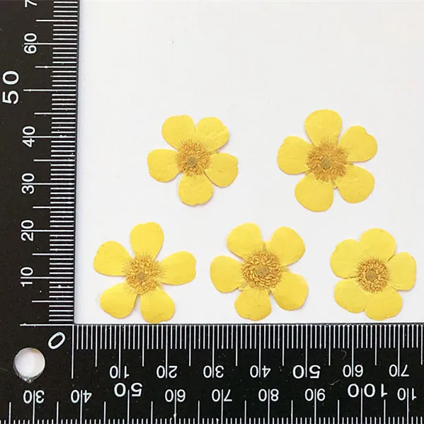 1.5-2cm/24pcs,Nature Real Butt - Holiday Candle Set recension och pris
