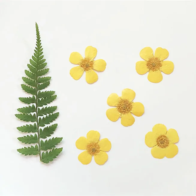 1.5-2cm/24pcs,Nature Real Butt - Holiday Candle Set recension och pris